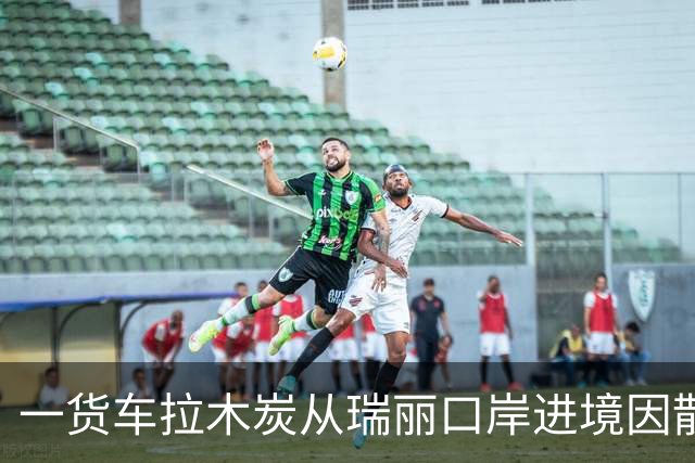 一货车拉木炭从瑞丽口岸进境因散发异味被查，车厢底部竟暗藏大量蛇干：共查获蛇干2380条，干蛇鞭蛇胆1795个