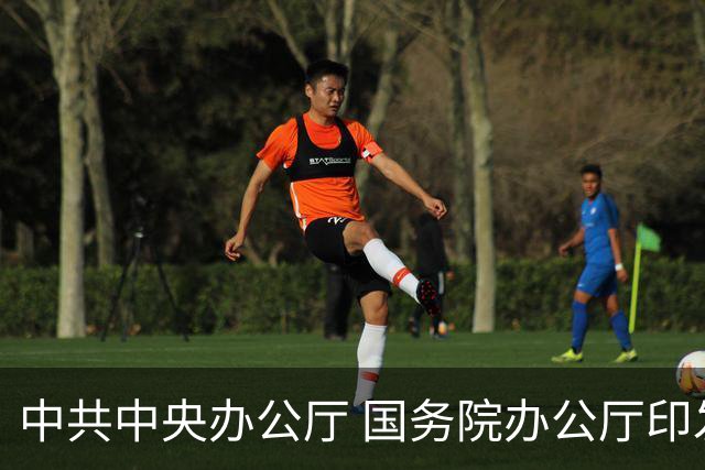中共中央办公厅 国务院办公厅印发《关于分类推进高校改革的意见》