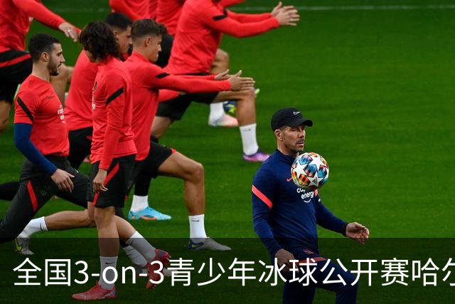 全国3-on-3青少年冰球公开赛哈尔滨赛区比赛收官