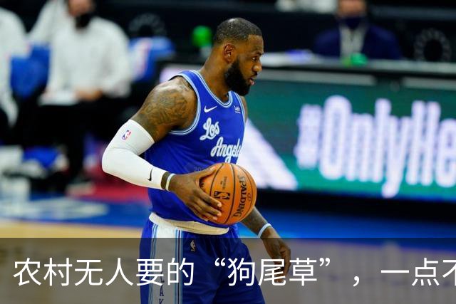 农村无人要的“狗尾草”，一点不起眼，带回家还有这“妙用”！