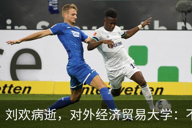 刘欢病逝，对外经济贸易大学：不举行遗体告别仪式和追悼会；他和湖南有这些渊源