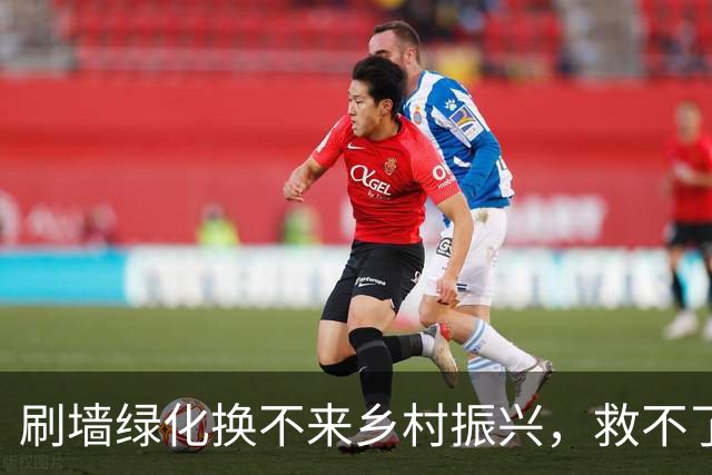 刷墙绿化换不来乡村振兴，救不了乡村衰败的危机