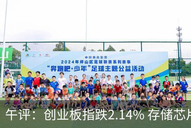 午评：创业板指跌2.14% 存储芯片概念活跃