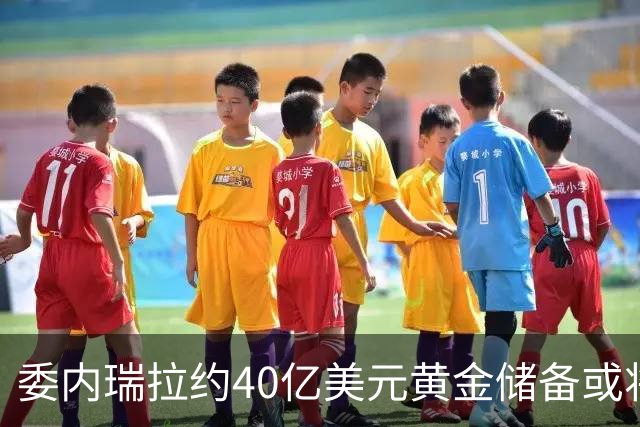 委内瑞拉约40亿美元黄金储备或将从英国转移至美国