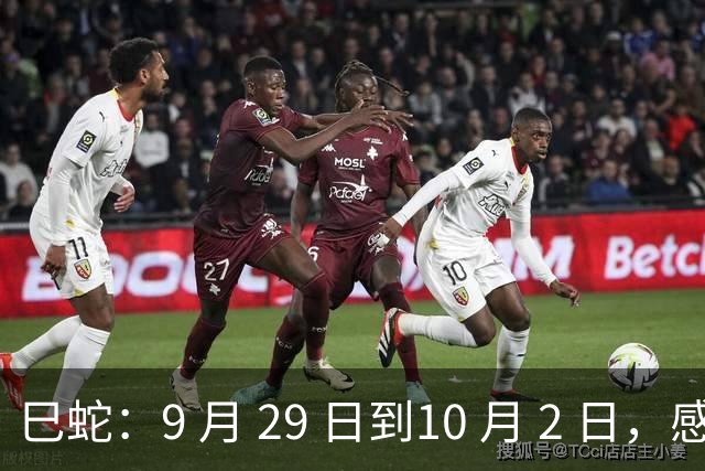 巳蛇：9 月 29 日到10 月 2 日，感情上这三件事，一定要理清楚