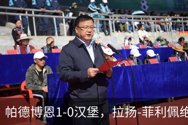 帕德博恩1-0汉堡，拉扬-菲利佩绝杀