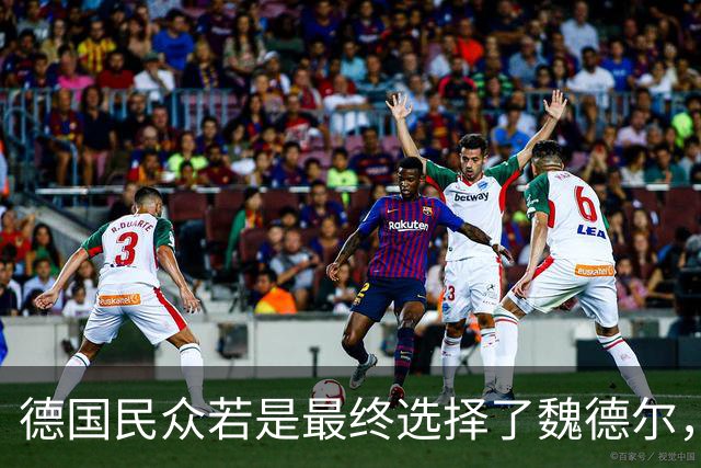德国民众若是最终选择了魏德尔，那将是德国的灾难！
