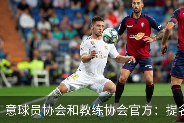 意球员协会和教练协会官方：提名加利亚尼竞选意大利足协主席