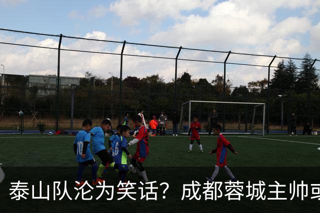 泰山队沦为笑话？成都蓉城主帅或停赛，蒿俊闵指挥，英博争冠无望