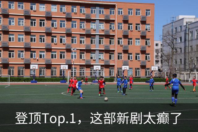 登顶Top.1，这部新剧太癫了