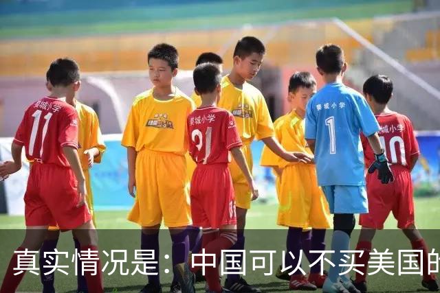 真实情况是：中国可以不买美国的芯片，但西方不能没有中国稀土