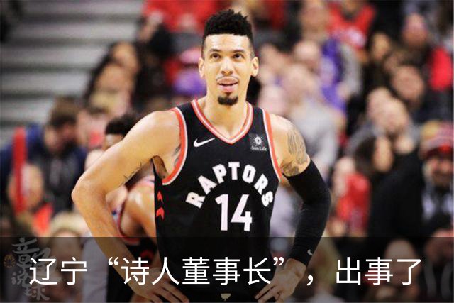 辽宁“诗人董事长”，出事了