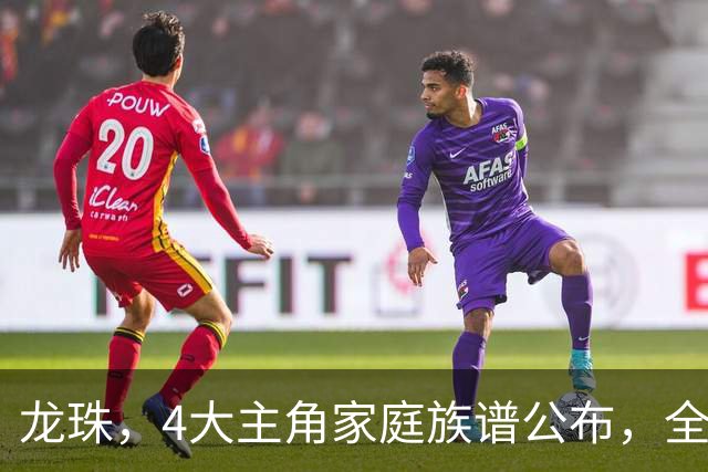 龙珠，4大主角家庭族谱公布，全部认识的都是大神，最后一组让人绷不住了