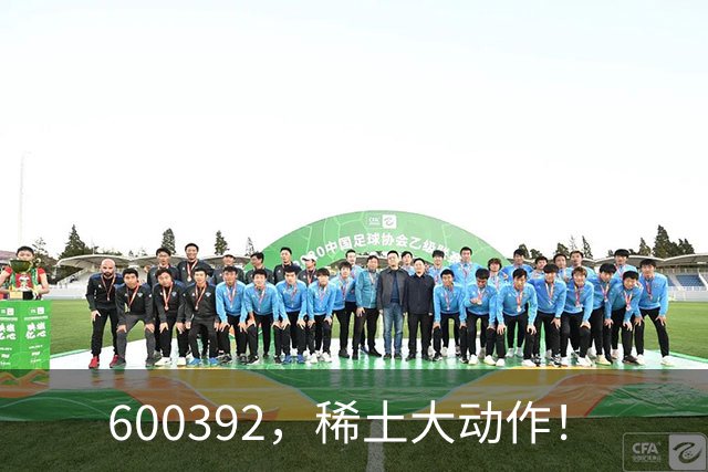 600392，稀土大动作！